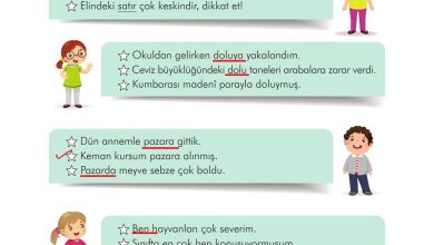 3. Sınıf İlke Yayınları Türkçe Ders Kitabı Sayfa 106 Cevapları