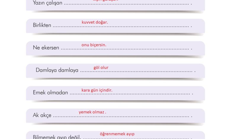 3. Sınıf İlke Yayınları Türkçe Ders Kitabı Sayfa 107 Cevapları