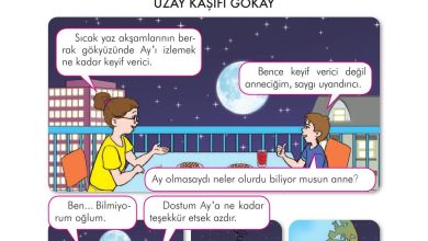 3. Sınıf İlke Yayınları Türkçe Ders Kitabı Sayfa 108 Cevapları