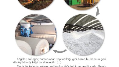 3. Sınıf İlke Yayınları Türkçe Ders Kitabı Sayfa 123 Cevapları