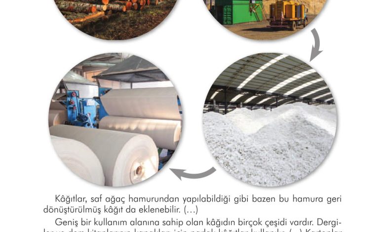 3. Sınıf İlke Yayınları Türkçe Ders Kitabı Sayfa 123 Cevapları