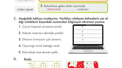 3. Sınıf İlke Yayınları Türkçe Ders Kitabı Sayfa 125 Cevapları