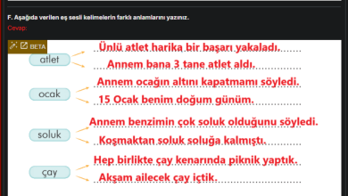 3. Sınıf İlke Yayınları Türkçe Ders Kitabı Sayfa 126 Cevapları