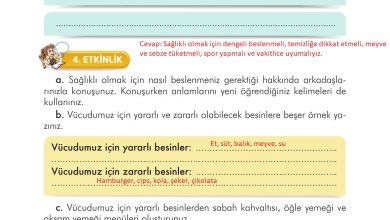 3. Sınıf İlke Yayınları Türkçe Ders Kitabı Sayfa 130 Cevapları