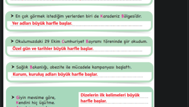 3. Sınıf İlke Yayınları Türkçe Ders Kitabı Sayfa 132 Cevapları