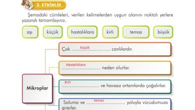 3. Sınıf İlke Yayınları Türkçe Ders Kitabı Sayfa 137 Cevapları