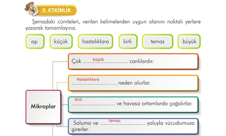 3. Sınıf İlke Yayınları Türkçe Ders Kitabı Sayfa 137 Cevapları