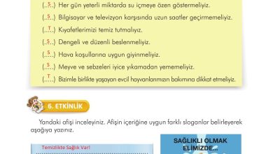 3. Sınıf İlke Yayınları Türkçe Ders Kitabı Sayfa 139 Cevapları