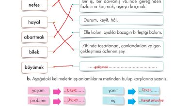 3. Sınıf İlke Yayınları Türkçe Ders Kitabı Sayfa 144 Cevapları