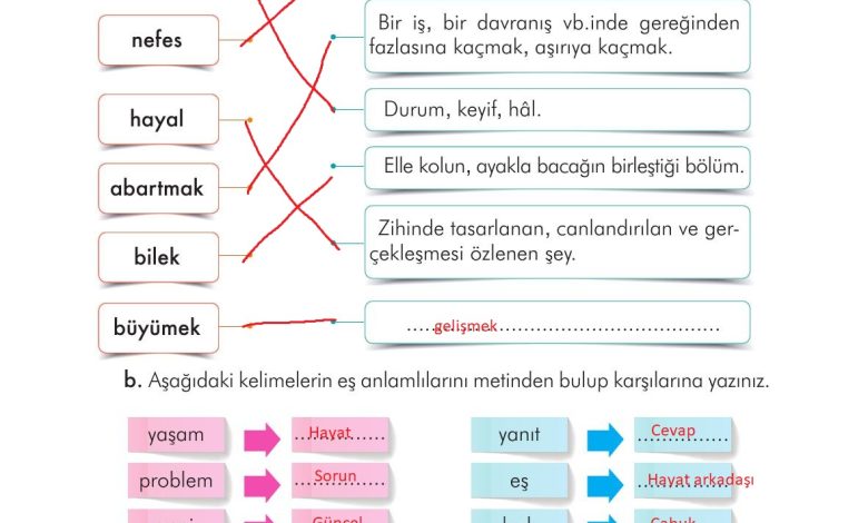 3. Sınıf İlke Yayınları Türkçe Ders Kitabı Sayfa 144 Cevapları