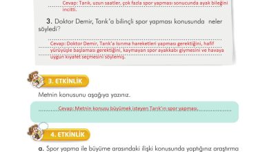 3. Sınıf İlke Yayınları Türkçe Ders Kitabı Sayfa 145 Cevapları