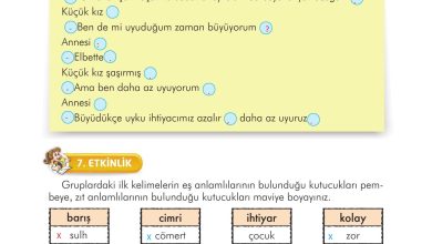 3. Sınıf İlke Yayınları Türkçe Ders Kitabı Sayfa 147 Cevapları