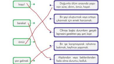 3. Sınıf İlke Yayınları Türkçe Ders Kitabı Sayfa 15 Cevapları