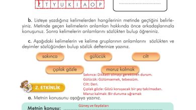 3. Sınıf İlke Yayınları Türkçe Ders Kitabı Sayfa 150 Cevapları