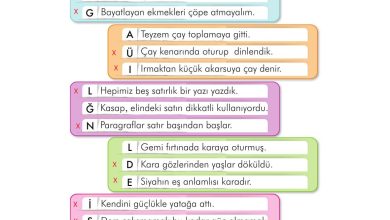 3. Sınıf İlke Yayınları Türkçe Ders Kitabı Sayfa 155 Cevapları