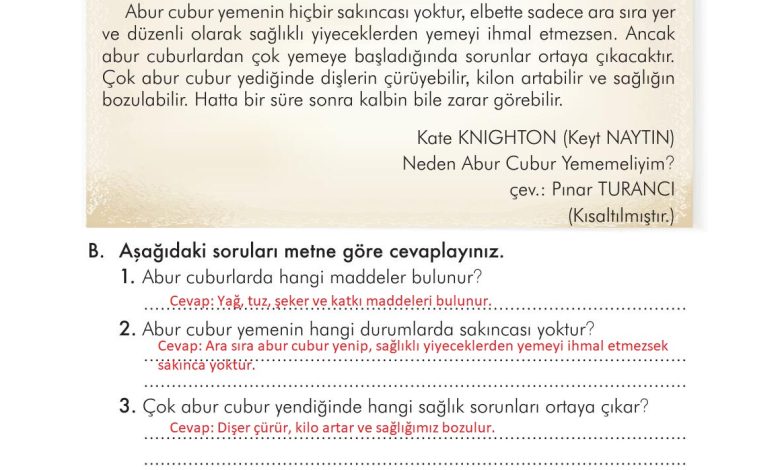 3. Sınıf İlke Yayınları Türkçe Ders Kitabı Sayfa 159 Cevapları