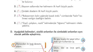 3. Sınıf İlke Yayınları Türkçe Ders Kitabı Sayfa 160 Cevapları