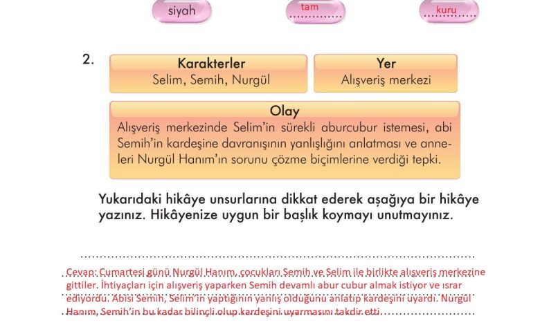 3. Sınıf İlke Yayınları Türkçe Ders Kitabı Sayfa 161 Cevapları