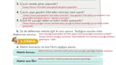 3. Sınıf İlke Yayınları Türkçe Ders Kitabı Sayfa 169 Cevapları