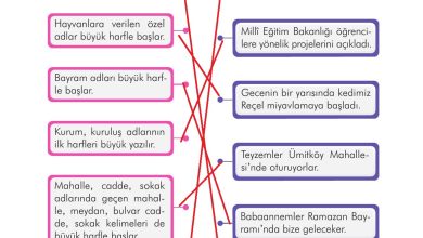 3. Sınıf İlke Yayınları Türkçe Ders Kitabı Sayfa 173 Cevapları