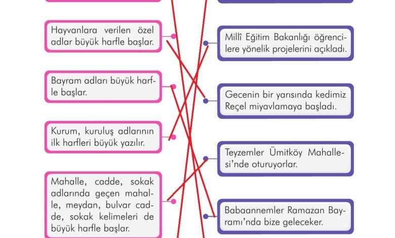 3. Sınıf İlke Yayınları Türkçe Ders Kitabı Sayfa 173 Cevapları