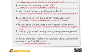 3. Sınıf İlke Yayınları Türkçe Ders Kitabı Sayfa 178 Cevapları