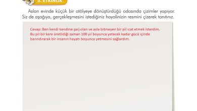 3. Sınıf İlke Yayınları Türkçe Ders Kitabı Sayfa 179 Cevapları