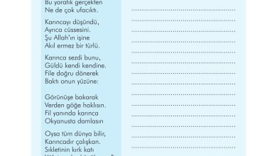 3. Sınıf İlke Yayınları Türkçe Ders Kitabı Sayfa 180 Cevapları