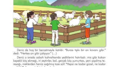 3. Sınıf İlke Yayınları Türkçe Ders Kitabı Sayfa 183 Cevapları