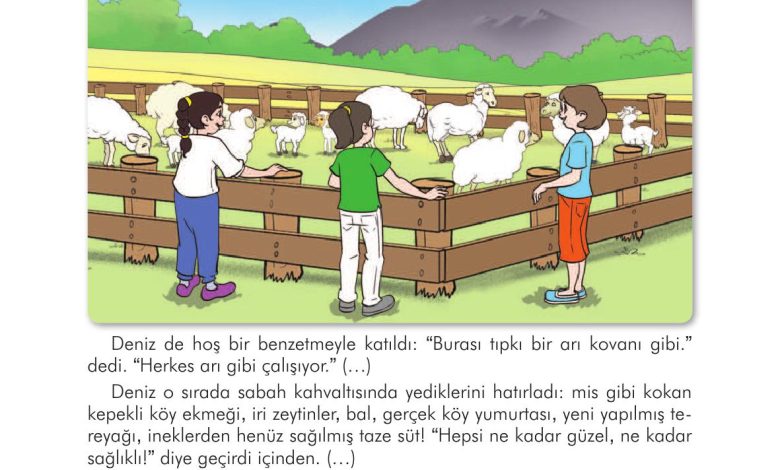 3. Sınıf İlke Yayınları Türkçe Ders Kitabı Sayfa 183 Cevapları