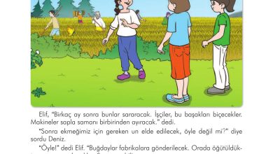 3. Sınıf İlke Yayınları Türkçe Ders Kitabı Sayfa 184 Cevapları