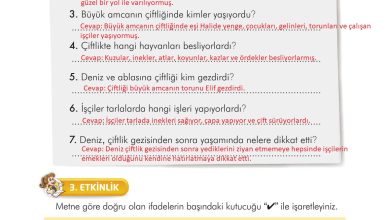 3. Sınıf İlke Yayınları Türkçe Ders Kitabı Sayfa 186 Cevapları