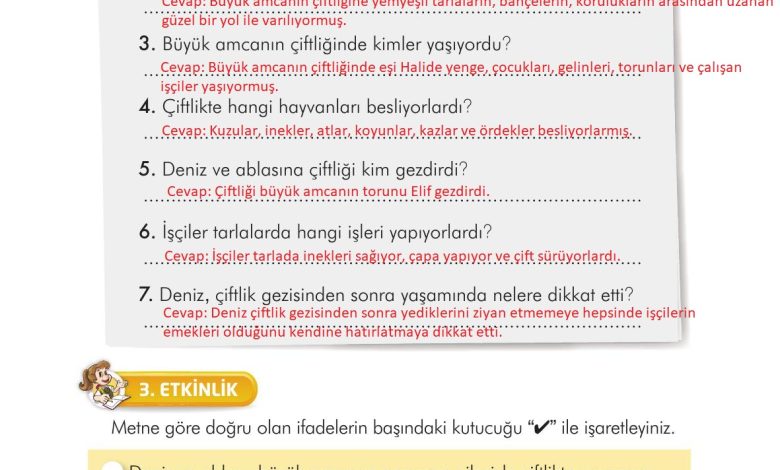 3. Sınıf İlke Yayınları Türkçe Ders Kitabı Sayfa 186 Cevapları