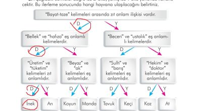 3. Sınıf İlke Yayınları Türkçe Ders Kitabı Sayfa 188 Cevapları