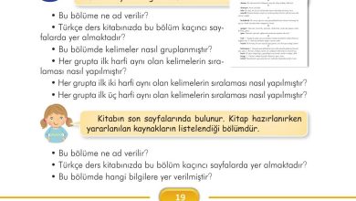 3. Sınıf İlke Yayınları Türkçe Ders Kitabı Sayfa 19 Cevapları