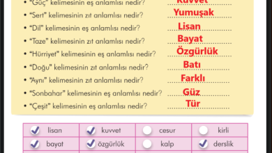 3. Sınıf İlke Yayınları Türkçe Ders Kitabı Sayfa 194 Cevapları