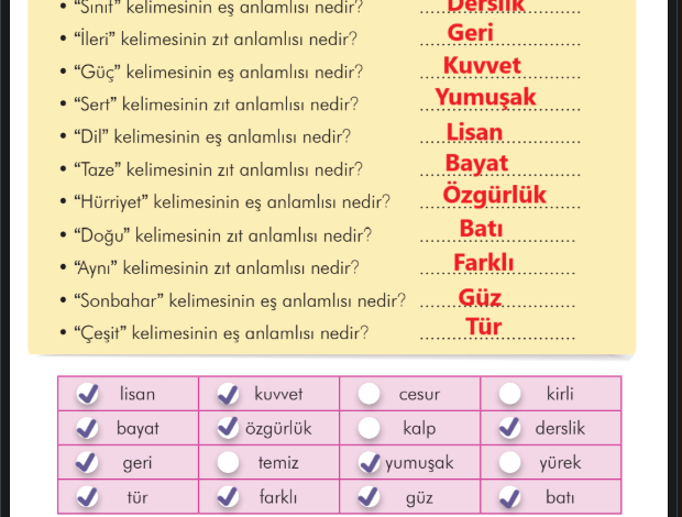 3. Sınıf İlke Yayınları Türkçe Ders Kitabı Sayfa 194 Cevapları