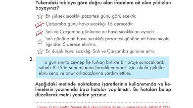 3. Sınıf İlke Yayınları Türkçe Ders Kitabı Sayfa 202 Cevapları