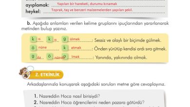 3. Sınıf İlke Yayınları Türkçe Ders Kitabı Sayfa 205 Cevapları