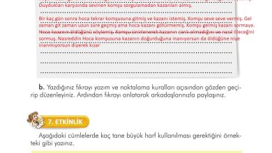 3. Sınıf İlke Yayınları Türkçe Ders Kitabı Sayfa 209 Cevapları