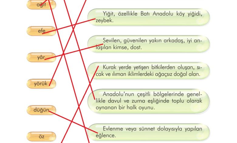 3. Sınıf İlke Yayınları Türkçe Ders Kitabı Sayfa 212 Cevapları