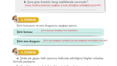 3. Sınıf İlke Yayınları Türkçe Ders Kitabı Sayfa 213 Cevapları