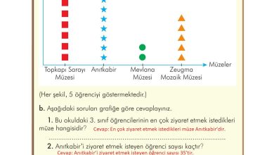 3. Sınıf İlke Yayınları Türkçe Ders Kitabı Sayfa 215 Cevapları