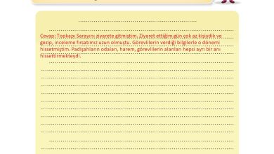 3. Sınıf İlke Yayınları Türkçe Ders Kitabı Sayfa 216 Cevapları