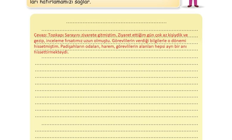 3. Sınıf İlke Yayınları Türkçe Ders Kitabı Sayfa 216 Cevapları