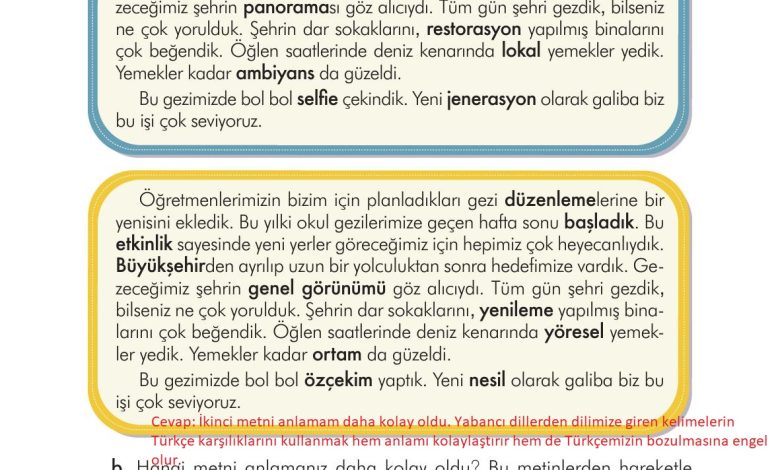 3. Sınıf İlke Yayınları Türkçe Ders Kitabı Sayfa 217 Cevapları