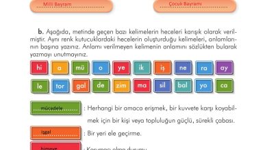 3. Sınıf İlke Yayınları Türkçe Ders Kitabı Sayfa 221 Cevapları