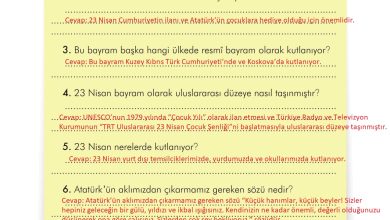 3. Sınıf İlke Yayınları Türkçe Ders Kitabı Sayfa 222 Cevapları