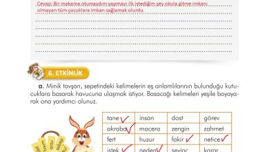 3. Sınıf İlke Yayınları Türkçe Ders Kitabı Sayfa 223 Cevapları