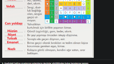 3. Sınıf İlke Yayınları Türkçe Ders Kitabı Sayfa 226 Cevapları